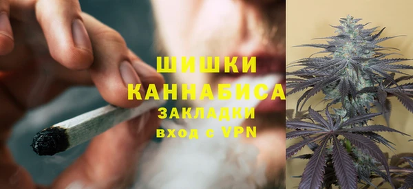 дурь Арсеньев