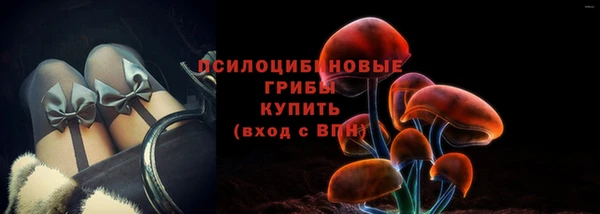 дурь Арсеньев