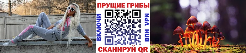 Галлюциногенные грибы мухоморы  Петрозаводск 